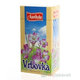 APOTHEKE čaj vrbovka malokvětá 20×1,5 g
