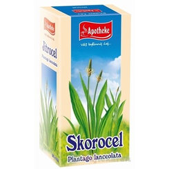 APOTHEKE Jitrocel kopinatý 20x1,5 g