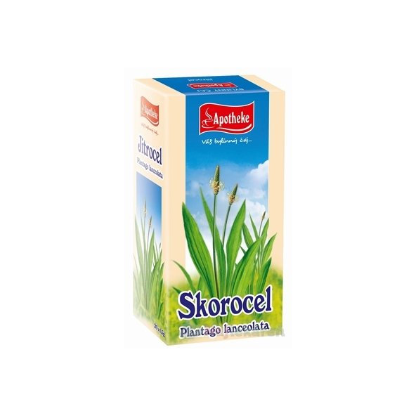 APOTHEKE Jitrocel kopinatý 20x1,5 g
