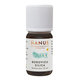 Hanus Silice Borovice 10 ml
