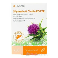 LIVSANE Silymarin a cholin Forte 30 kapslí
