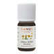 Hanus Silice jedle šišky 10 ml