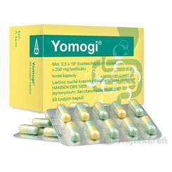 Yomogi 250 mg 50 kapslí