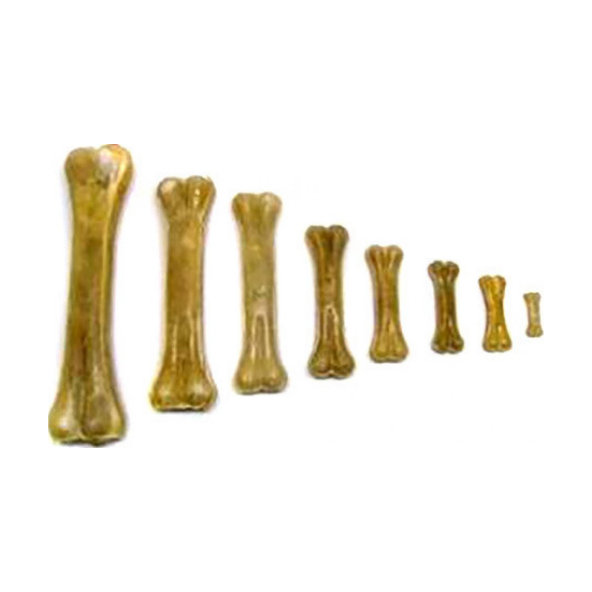 Salač Přírodní žvýkací kost pro psy 16–17 cm 10 ks