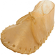 Salač Přírodní žvýkací bota pro psy 12–13 cm