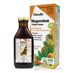 SALUS Floradix Magnesium tekutá forma 250 ml