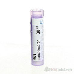 RHUS TOXICODENDRON GRA HOM CH30 na kožní a slizniční indikace 4 g
