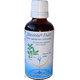 Steviola Fluid 100 ml
