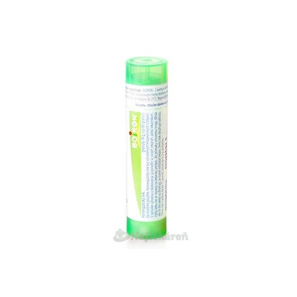 Aesculus Hippocastanum CH5 granule 4 g
