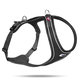 Curli postroj pro psy Belka Comfort Black L 25–33 kg
