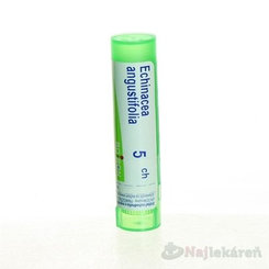 ECHINACEA ANGUSTIFOLIA GRA HOM CH5 na hnisavé infekce 4 g