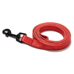 Explorer Dog vodítko Vrstevnice červená S 120×1,5 cm