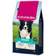 Eukanuba krmivo pro psy Adult Medium kuřecí 15 kg