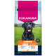 Eukanuba krmivo pro psy Junior Large kuřecí 15 kg