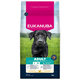 Eukanuba krmivo pro psy Adult Large kuřecí 3 kg
