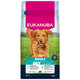 Eukanuba krmivo pro psy Adult Large jehněčí a rýže 12 kg