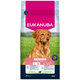 Eukanuba krmivo pro psy Senior Large jehněčí 12 kg