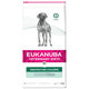 Eukanuba Veterinary Diets krmivo pro psy Restricted Calorie 12 kg
