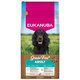EUKANUBA Grain Free Adult All Breeds krmivo pro psy s jelením masem 12 kg