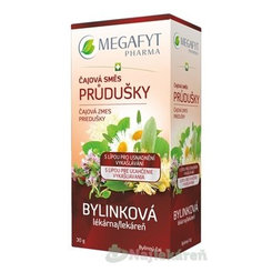 MEGAFYT Bylinková lékárna Čajová směs Průdušky 20 sáčků