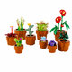 LEGO Botanicals miniaturní rostliny 10329
