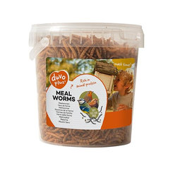 Duvo+ Krmivo mouční červi 200 g 1 l
