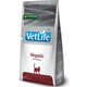 Farmina Vet Life Cat Hepatic granule pro kočky 2 kg