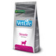 Farmina Vet Life Dog Struvite veterinární dieta pro psy 2 kg