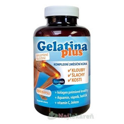 Terezia Gelatina Plus 360 kapslí