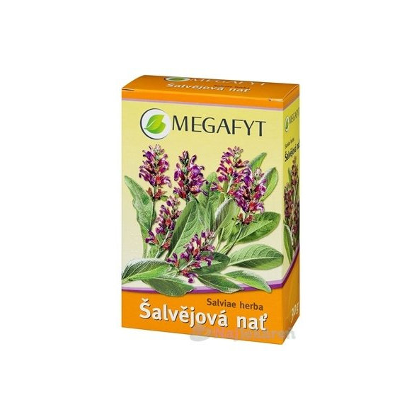 MEGAFYT Bylinková lékárna Šalvěj nať 30 g
