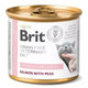 Brit Veterinary Diets GF konzerva pro kočky Hypoallergenic 200 g