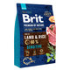 Brit Premium by Nature dog Sensitive Lamb 3 kg