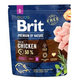 Brit Premium by Nature dog Adult S 1 kg