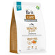 Brit Care Dog Grain Free Senior & Light Salmon 3 kg