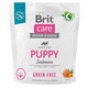 Brit Care Dog Grain Free Puppy Salmon 1 kg