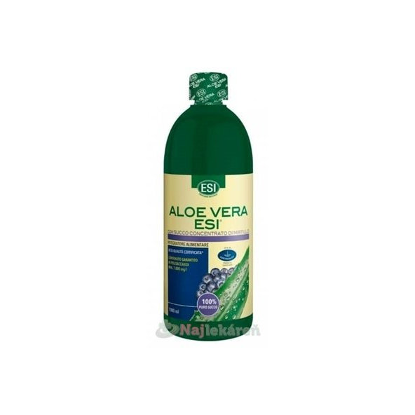 ESI Aloe Vera šťáva s medem a borůvkami 1000 ml