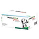 Dehinel Plus Flavour 10x10 tablet