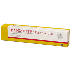 Banminth perorální pasta na odčervení psů 24 g