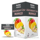 HERBEX Premium zázvorový čaj mango 20x2 g
