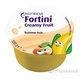 Fortini Creamy Fruit Multi Fibre letní ovoce 4x100 g