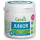 Canvit Junior pro psy 100 tablet