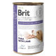 Brit VD GF konzerva pro psy Gastrointestinal Low Fat 400 g