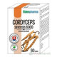 EDENPharma Cordyceps sinensis 6000 60 tablet