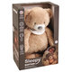 NATTOU Uspávač 4v1 Sleepy Bear Beige hudební se světýlkem 0 m+