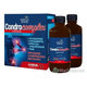 ADELLE DAVIS CondroComplex lipozomální kloubní výživa 2 x 500 ml