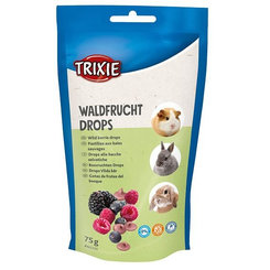 TRIXIE Wild Berry Drops maškrta pro hlodavce lesní plody 75 g