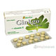 Naturica Ginkgo 60 mg + vitamín E 30 tablet