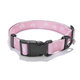 Explorer Dog obojek Duha L 41–66×2,5 cm