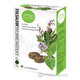 FYTO Folsalvin bylinné pastilky vitamin C 30 ks