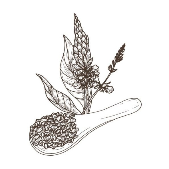 Alteya BIO olej z chia semien 50 ml